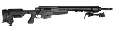 Винтовка Accuracy AX 300