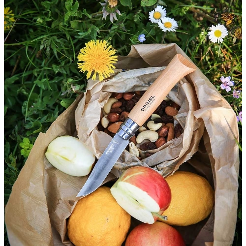 Нож складной Opinel №10